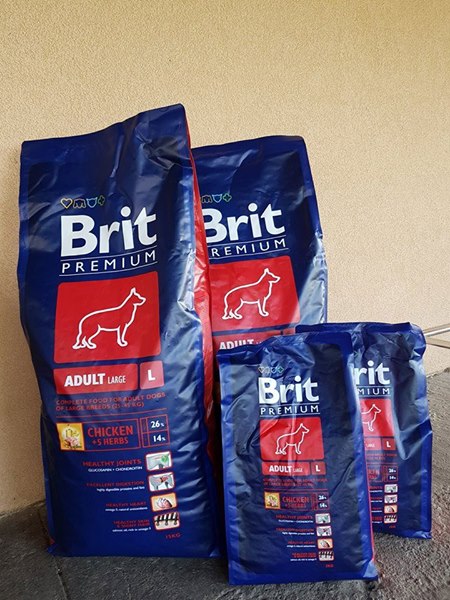 Ogromne podziękowania dla właścicieli Hodowli FCI Hodowla Z Lasów Godzieskich